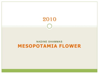 Nadine shammas Mesopotamia flower 2010 