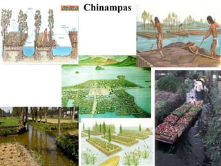 Chinampas 
 