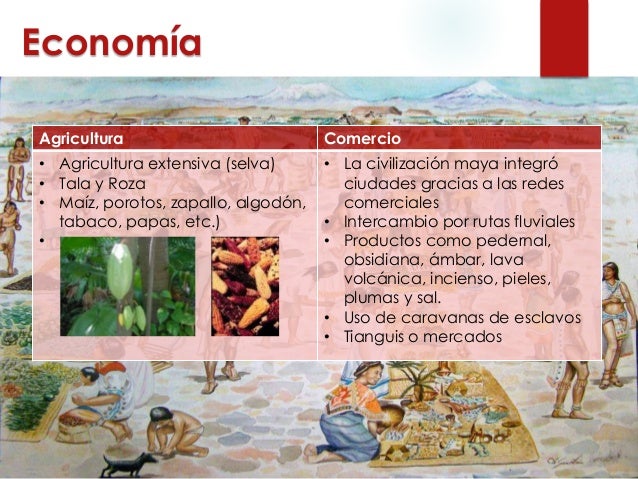 Mesoamerica olmecas y mayas