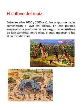 El cultivo del maíz
Entre los años 7000 y 2500 a. C., los grupos nómadas
comenzaron a vivir en aldeas. En ese periodo
empezaron a conformarse los rasgos característicos
de Mesoamérica, entre ellos, el mas importante fue
el cultivo del maíz.
 
