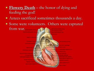 Flowery Death  – the honor of dying and feeding the god!  Aztecs sacrificed sometimes thousands a day.  Some were volunteers.  Others were captured from war. 