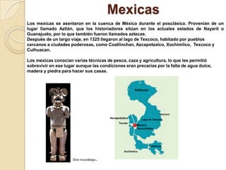 Mexicas
Los mexicas se asentaron en la cuenca de México durante el posclásico. Provenían de un
lugar llamado Aztlán, que los historiadores sitúan en los actuales estados de Nayarit o
Guanajuato, por lo que también fueron llamados aztecas.
Después de un largo viaje, en 1325 llegaron al lago de Texcoco, habitado por pueblos
cercanos a ciudades poderosas, como Coatlinchan, Azcapotzalco, Xochimilco, Texcoco y
Culhuacan.

Los mexicas conocían varias técnicas de pesca, caza y agricultura, lo que les permitió
sobrevivir en ese lugar aunque las condiciones eran precarias por la falta de agua dulce,
madera y piedra para hacer sus casas.



                                                            Xaltocan




                                                                               Texcoco
                                            Azcapotzalco
                                                                  Lago de Texcoco
                                                 Tacuba
                                                              México-
                                                              Tenochtitlan




                                                                       Cuitláhuac

                                                     Xochimilco


                      Dios murciélago   .
 