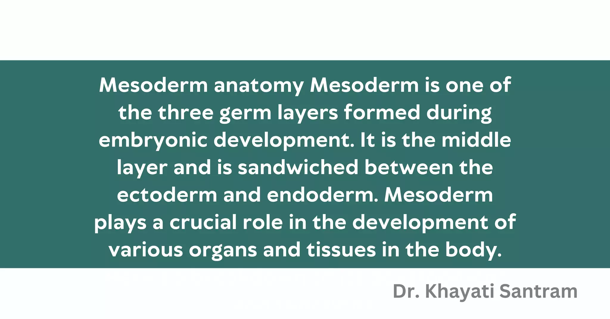Mesoderm anatomy Mesoderm is one of
the three germ layers formed during
embryonic development. It is the middle
layer and is sandwiched between the
ectoderm and endoderm. Mesoderm
plays a crucial role in the development of
various organs and tissues in the body.
Here’s a breakdown of its development
and functions:
Dr. Khayati Santram
 