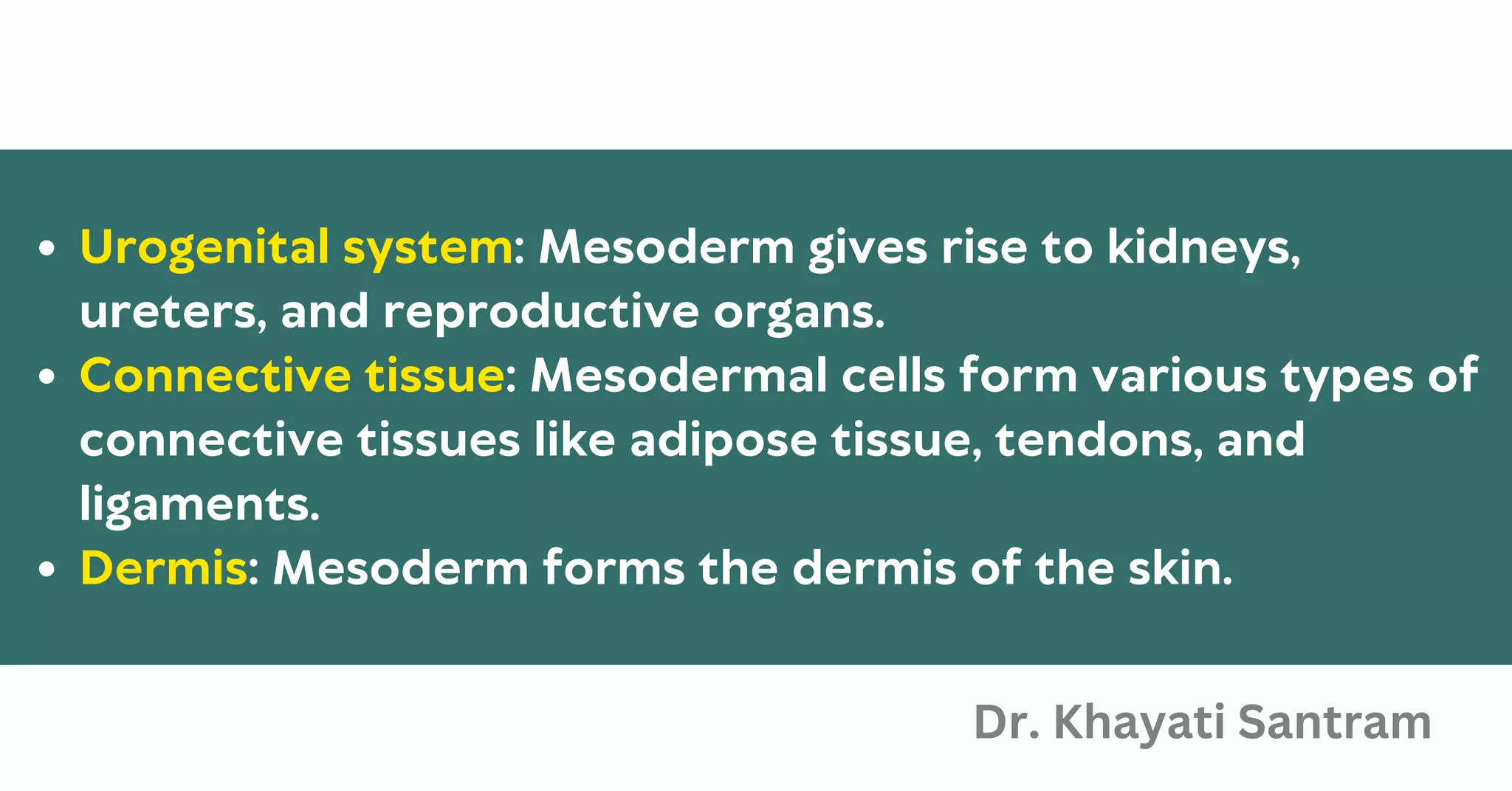 Urogenital system: Mesoderm gives rise to kidneys,
ureters, and reproductive organs.
Connective tissue: Mesodermal cells form various types of
connective tissues like adipose tissue, tendons, and
ligaments.
Dermis: Mesoderm forms the dermis of the skin.
Dr. Khayati Santram
 