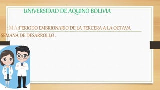 UNIVERSIDAD DE AQUINO BOLIVIA
TEMA:PERIODO EMBRIONARIO DE LA TERCERA A LA OCTAVA
SEMANA DE DESARROLLO .
 