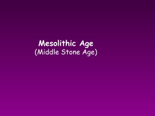 Mesolithic Age  (Middle Stone Age) 