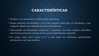 CARACTERÍSTICAS
• Tienden a ser musculosos y atléticos por naturaleza.
• Ganan músculo con facilidad y es el tipo somático ideal para el culturismo y casi
cualquier deporte que implique fuerza y musculatura.
• Entrenando sin demasiada constancia y siguiendo una dieta regular, obtendrán
unos buenos músculos, aunque tienen mayor facilidad para engordar
• Su cuerpo suele tener forma en V y casi todos los culturistas profesionales
pertenecen a este tipo somático.
 