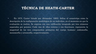 TÉCNICA DE HEATH-CARTER
• En 1975, Carter (citado por Alexander, 1995), define al somatotipo como la
descripción de la configuración morfológica de un individuo, en el momento en que la
evaluación se realiza. Se expresa con una calificación integrada por tres números
separados por guiones. Cada uno de ellos enteros o con fracciones, representa la
magnitud de los tres componentes primarios del cuerpo humano: endomorfia,
mesomorfia y ectomorfia, respectivamente.
 