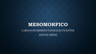 MESOMORFICO
CARLOS HUMBERTO GONZALEZ PUENTES
STIVEN ORTIZ
 