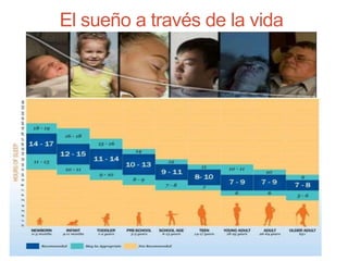 El sueño a través de la vida
 