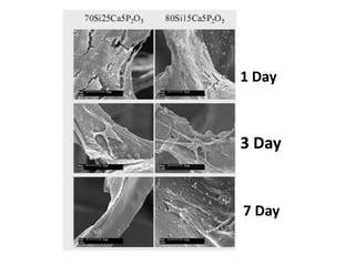 1 Day



3 Day


7 Day
 