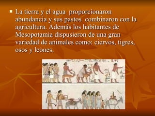 La tierra y el agua  proporcionaron  abundancia y sus pastos  combinaron con la agricultura. Además los habitantes de Mesopotamia dispusieron de una gran variedad de animales como: ciervos, tigres, osos y leones. 