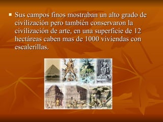 Sus campos finos mostraban un alto grado de civilización pero también conservaron la civilización de arte, en una superficie de 12 hectáreas caben mas de 1000 viviendas con escalerillas. 