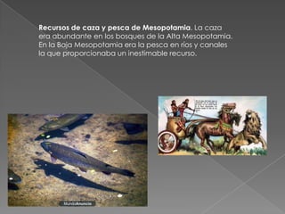 Recursos de caza y pesca de Mesopotamia. La caza
era abundante en los bosques de la Alta Mesopotamia.
En la Baja Mesopotamia era la pesca en ríos y canales
la que proporcionaba un inestimable recurso.
 