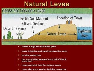 Natural LeveeNatural Levee
 create a high and safe flood plaincreate a high and safe flood plain
 make irrigation and canal construction easymake irrigation and canal construction easy
 provide protectionprovide protection
 the surrounding swamps were full of fish &the surrounding swamps were full of fish &
waterfowlwaterfowl
 reeds provided food for sheep / goatsreeds provided food for sheep / goats
 reeds also were used as building resourcesreeds also were used as building resources
 