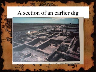 A section of an earlier dig
 