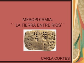 MESOPOTAMIA:
``LA TIERRA ENTRE RIOS``
CARLA CORTES
 
