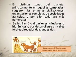 • En distintas zonas del planeta,
principalmente en aquellas templadas,
surgieron las primeras civilizaciones,
organizaciones complejas de sociedades
agrícolas, y por ello, cada vez más
numerosas.
• Se les llamó civilizaciones «fluviales o
hidráulicas», por desarrollarse en valles
fértiles alrededor de grandes ríos.
Las primeras civilizaciones se
dedicaron al cultivo de cereales.
 