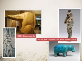 SOBEK, Dios cocodrilo
TUERIS, diosa hipopótamo de las embarazadas
 