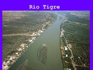 Rio Tigre
 