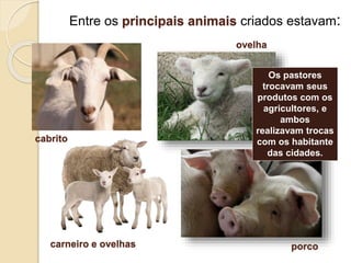 Entre os principais animais criados estavam:
carneiro e ovelhas
cabrito
ovelha
porco
Os pastores
trocavam seus
produtos com os
agricultores, e
ambos
realizavam trocas
com os habitante
das cidades.
 