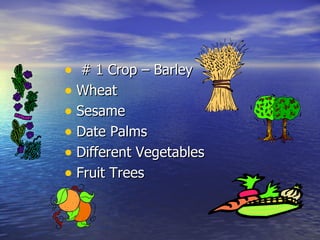 # 1 Crop – Barley Wheat Sesame Date Palms Different Vegetables Fruit Trees 