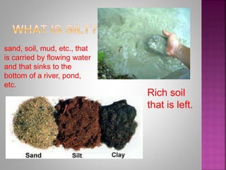 sand, soil, mud, etc., that
is carried by flowing water
and that sinks to the
bottom of a river, pond,
etc.
Rich soil
that is left.
 
