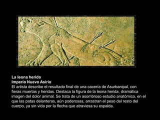 La leona herida
Imperio Nuevo Asirio
El artista describe el resultado final de una cacería de Asurbanipal, con
fieras muertas y heridas. Destaca la figura de la leona herida, dramática
imagen del dolor animal. Se trata de un asombroso estudio anatómico, en el
que las patas delanteras, aún poderosas, arrastran el peso del resto del
cuerpo, ya sin vida por la flecha que atraviesa su espalda.
 