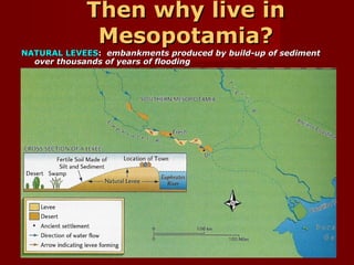 Then why live in
Mesopotamia?

NATURAL LEVEES: embankments produced by build-up of sediment
over thousands of years of flooding

 