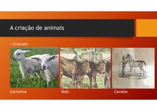 A criação de animais
• Criavam:
Carneiros Bois Cavalos
 