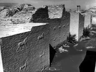 Prof. Douglas Barraqui
www.dougnahistoria.blogspot.com
 