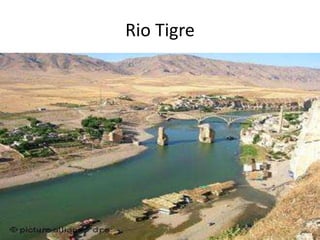 Rio Tigre
 