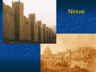 NiniveNinive
 