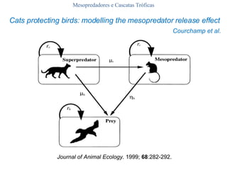 Mesopredadores e Cascatas Tróficas Journal of Animal Ecology.  1999;  68 :282-292. Cats protecting birds: modelling the mesopredator release effect Courchamp et al. 