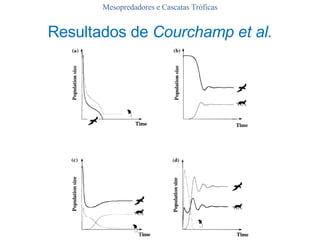 Mesopredadores e Cascatas Tróficas Resultados de  Courchamp et al. 