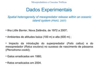 Mesopredadores e Cascatas Tróficas Dados Experimentais Spatial heterogeneity of mesopredator release within an oceanic island system  (PNAS, 2007) Ilha  Little Barrier , Nova Zelândia, de 1972 a 2007; Ambientes de altitudes baixa (100 m) e alta (600 m) ; Impacto da introdução do superpredador ( Felis cattus ) e do mesopredador ( Ratus exulans ) no sucesso de nascimento de pássaros ( Pterodroma cookii ); Gatos erradicados em 1980; Ratos erradicados em 2004. 