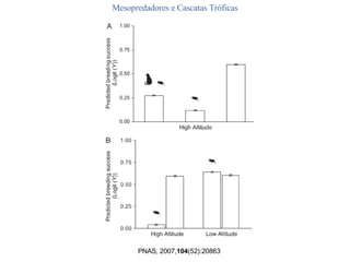 Mesopredadores e Cascatas Tróficas PNAS, 2007, 104 (52):20863 