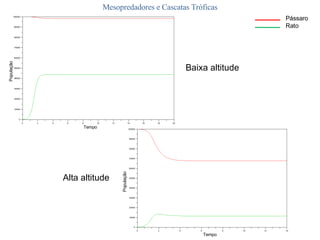 Mesopredadores e Cascatas Tróficas Baixa altitude Alta altitude População Tempo Tempo População Pássaro Rato 