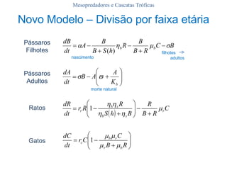 Mesopredadores e Cascatas Tróficas Novo Modelo – Divisão por faixa etária Pássaros Adultos Ratos Gatos Pássaros Filhotes morte natural nascimento filhotes  adultos  
