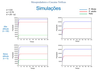 Mesopredadores e Cascatas Tróficas Simulações População Tempo População População População Tempo Tempo Tempo Alta  altitude (h = 90) Baixa  altitude (h = 5) σ  = 0,8;  ω  = 0,15;  α  = (rb -  ω ) P. filhote P. adulto Rato 