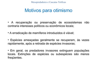 Mesopredadores e Cascatas Tróficas Motivos para otimismo A recuperação ou preservação de ecossistemas não contraria interesses políticos ou econômicos locais; A erradicação de mamíferos introduzidos é viável; Espécies ameaçadas geralmente se recuperam, às vezes rapidamente, após a retirada de espécies invasoras; Em geral, os predadores invasores extinguem populações locais. Extinções de espécies ou subespécies são menos freqüentes. 
