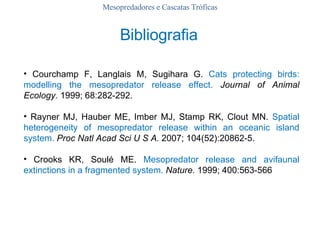 Mesopredadores e Cascatas Tróficas Courchamp F, Langlais M, Sugihara G.  Cats protecting birds: modelling the mesopredator release effect.   Journal of Animal Ecology.  1999; 68:282-292. Rayner MJ, Hauber ME, Imber MJ, Stamp RK, Clout MN.  Spatial heterogeneity of mesopredator release within an oceanic island system.  Proc Natl Acad Sci U S A.  2007; 104(52):20862-5. Crooks KR, Soulé ME.  Mesopredator release and avifaunal extinctions in a fragmented system.   Nature.  1999; 400:563-566 Bibliografia   