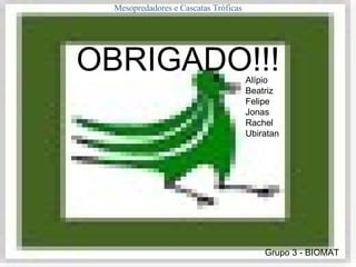OBRIGADO!!! Grupo 3 - BIOMAT Mesopredadores e Cascatas Tróficas Alípio Beatriz Felipe Jonas Rachel Ubiratan 