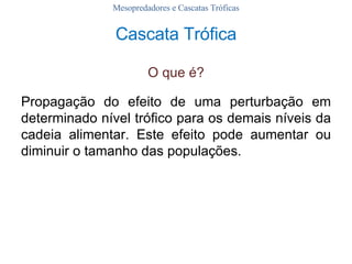 Cascata Trófica O que é? Propagação do efeito de uma perturbação em determinado nível trófico para os demais níveis da cadeia alimentar. Este efeito pode aumentar ou diminuir o tamanho das populações. Mesopredadores e Cascatas Tróficas 