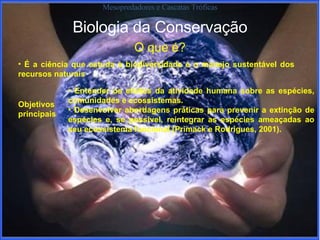 Biologia da Conservação Mesopredadores e Cascatas Tróficas O que é? É a ciência que estuda a biodiversidade e o manejo sustentável dos recursos naturais Objetivos principais E ntender os efeitos da atividade humana sobre as  espécies , comunidades e  ecossistemas. D esenvolver abordagens práticas para prevenir a extinção de espécies e, se possível, reintegrar as espécies ameaçadas ao seu ecossistema funcional (Primack e Rodrigues, 2001). 