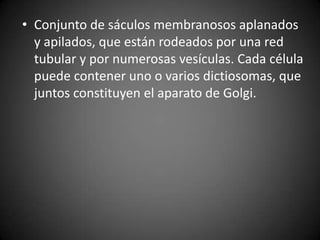 • Conjunto de sáculos membranosos aplanados
y apilados, que están rodeados por una red
tubular y por numerosas vesículas. Cada célula
puede contener uno o varios dictiosomas, que
juntos constituyen el aparato de Golgi.

 