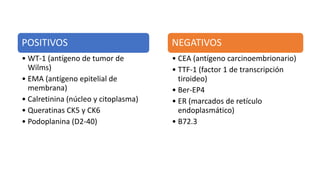 POSITIVOS
• WT-1 (antígeno de tumor de
Wilms)
• EMA (antígeno epitelial de
membrana)
• Calretinina (núcleo y citoplasma)
• Queratinas CK5 y CK6
• Podoplanina (D2-40)
NEGATIVOS
• CEA (antígeno carcinoembrionario)
• TTF-1 (factor 1 de transcripción
tiroideo)
• Ber-EP4
• ER (marcados de retículo
endoplasmático)
• B72.3
 