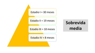 Estadio I = 30 meses
Estadio II = 19 meses
Estadio III = 10 meses
Estadio IV = 8 meses
Sobrevida
media
 