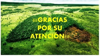 ¡¡¡GRACIAS
POR SU
ATENCIÓN!!!
 