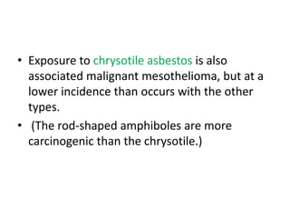 • Exposure to chrysotile asbestos is also
associated malignant mesothelioma, but at a
lower incidence than occurs with the other
types.
• (The rod-shaped amphiboles are more
carcinogenic than the chrysotile.)
 